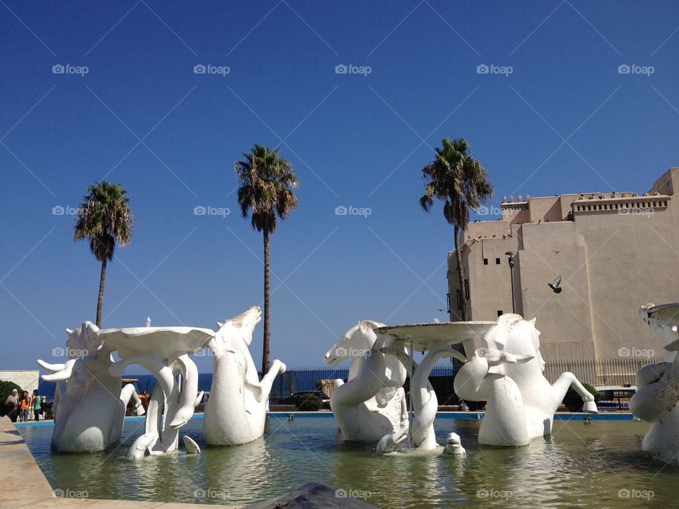 Fountain in Algiers