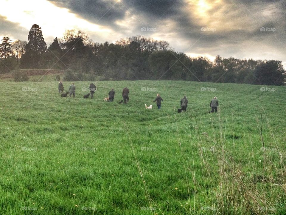 GunDog Training