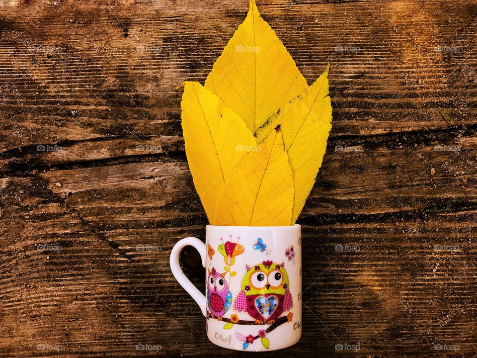 Wood, Wooden, Desktop, Leaf, Old