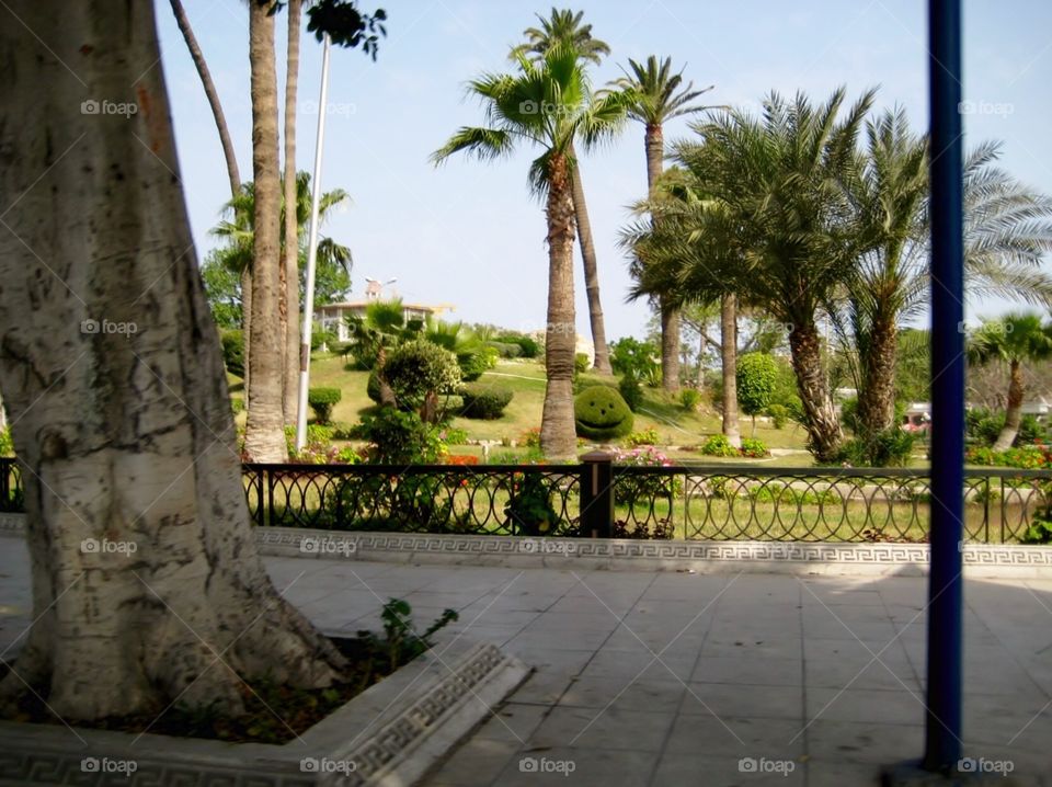 Alexandria Egypt. Happy Park