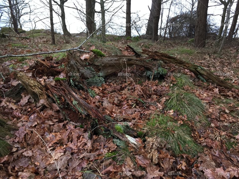 Morningwalk at Möreleden, Kalmarsund, Sweden 