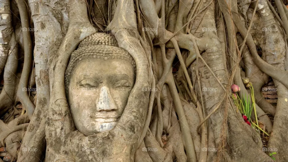 China sculpture