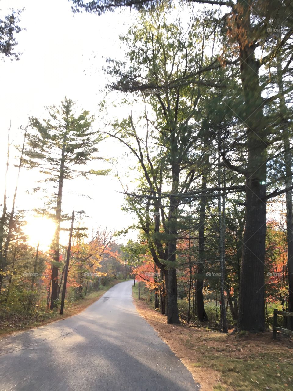 No idea where the curves in road will take you, the beauty of it. Fall is Massachusetts 