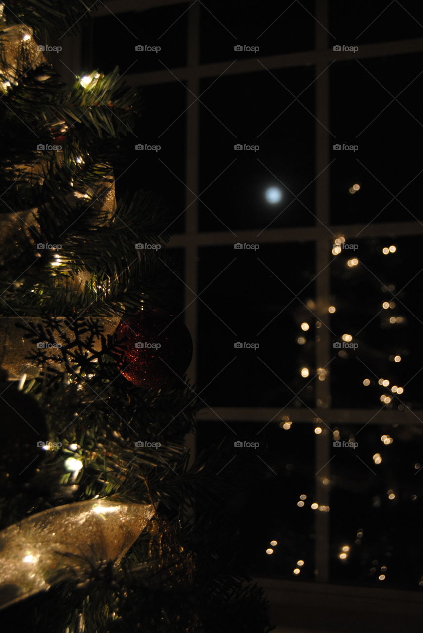 Christmas Reflection 