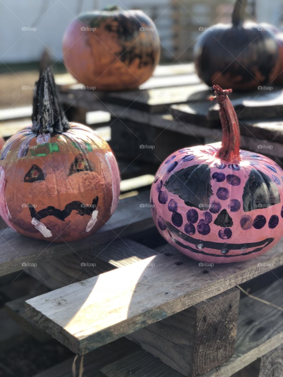 Hallowe’en Pumpkins 