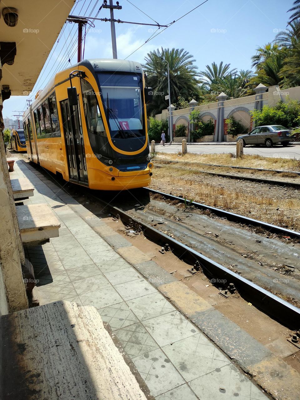 tram in Alexandria