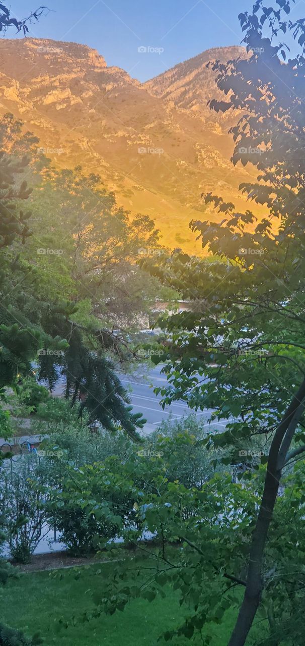 Spring Mountain Sunset