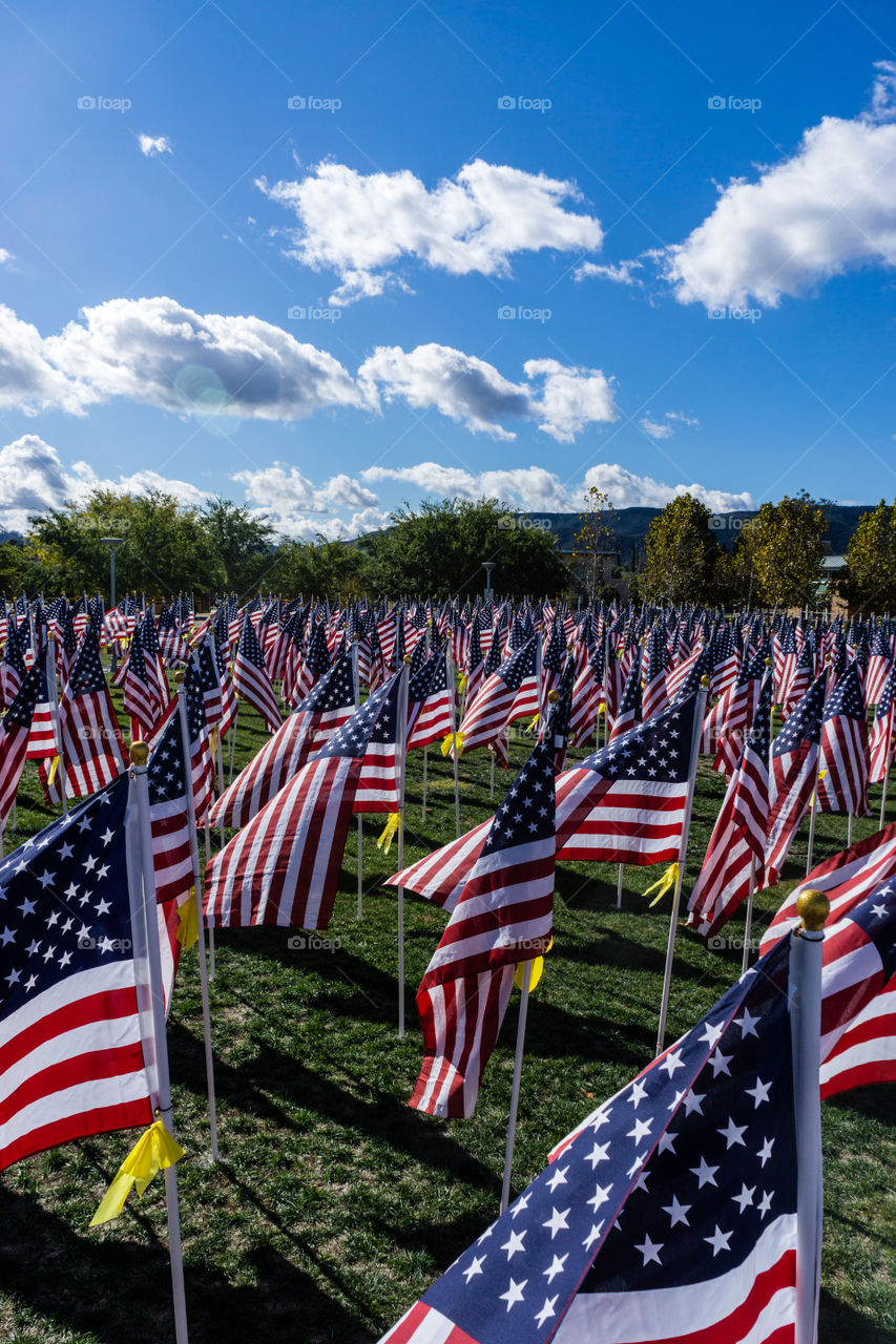 Field of Honor