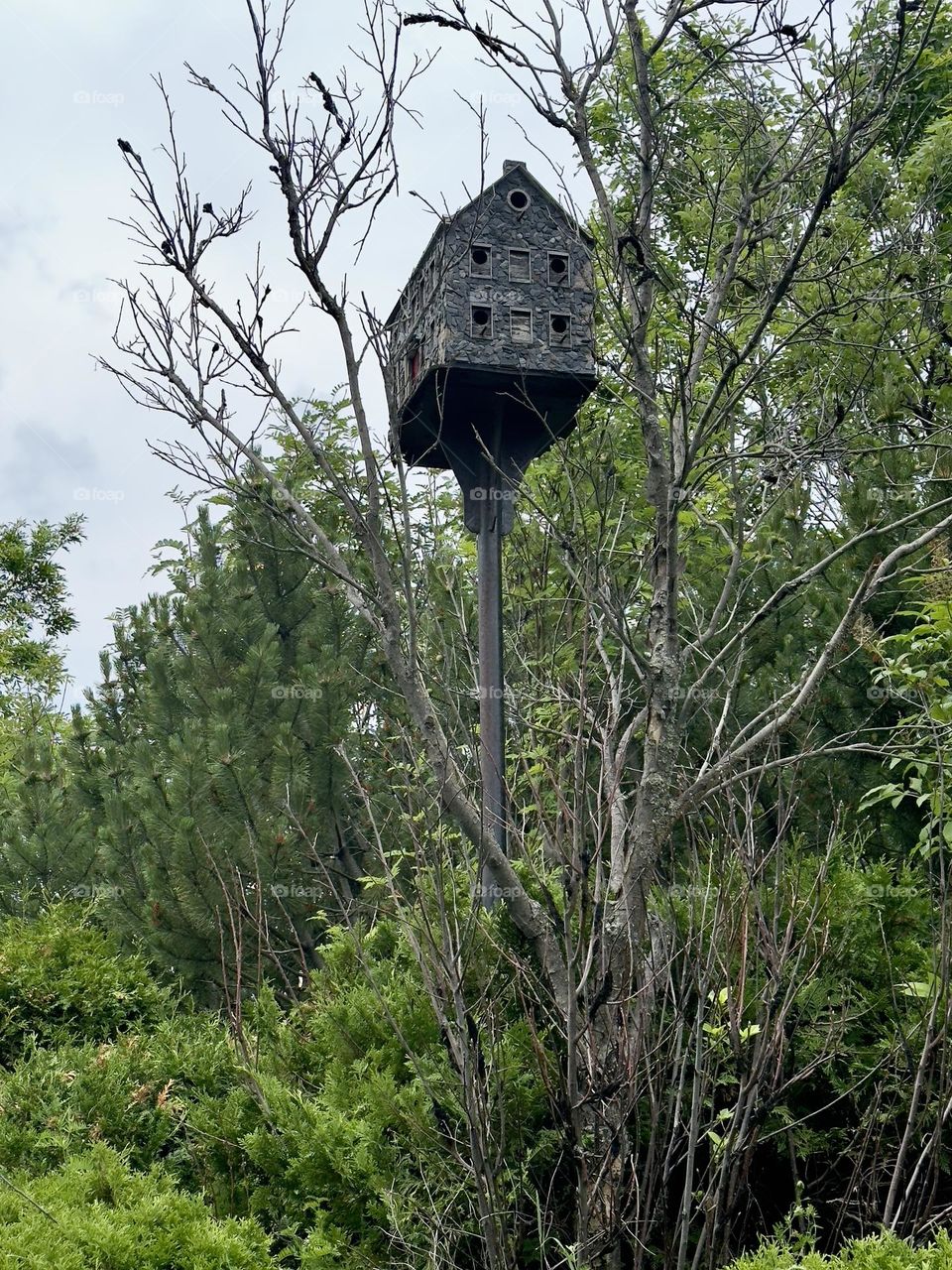 Bird house 