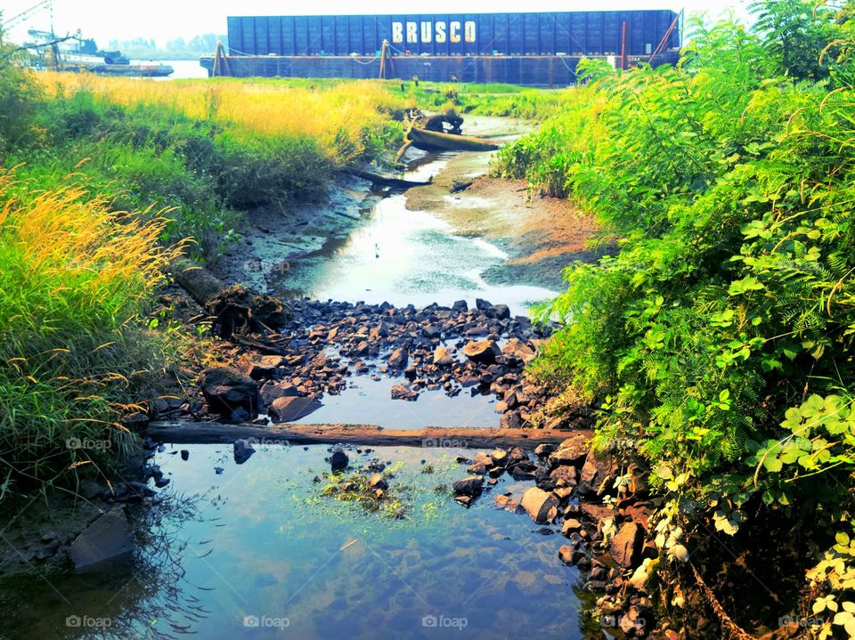 creek and barge