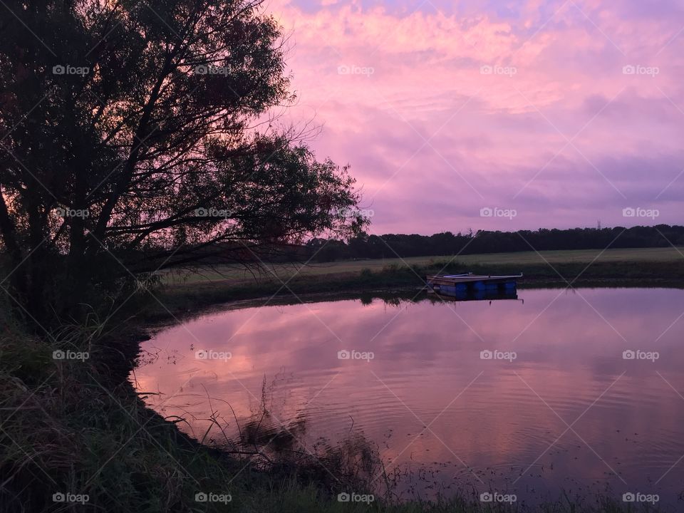 Pink sunset on the pond