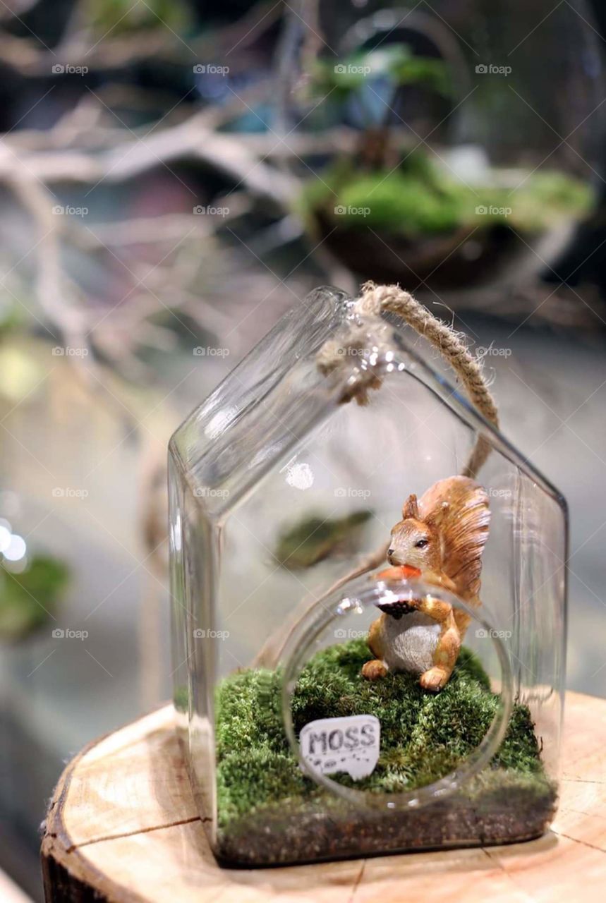 little jar with moss and cute inside