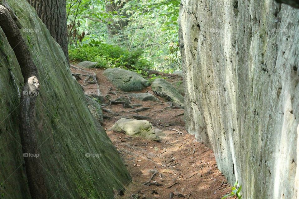 path of stone walls