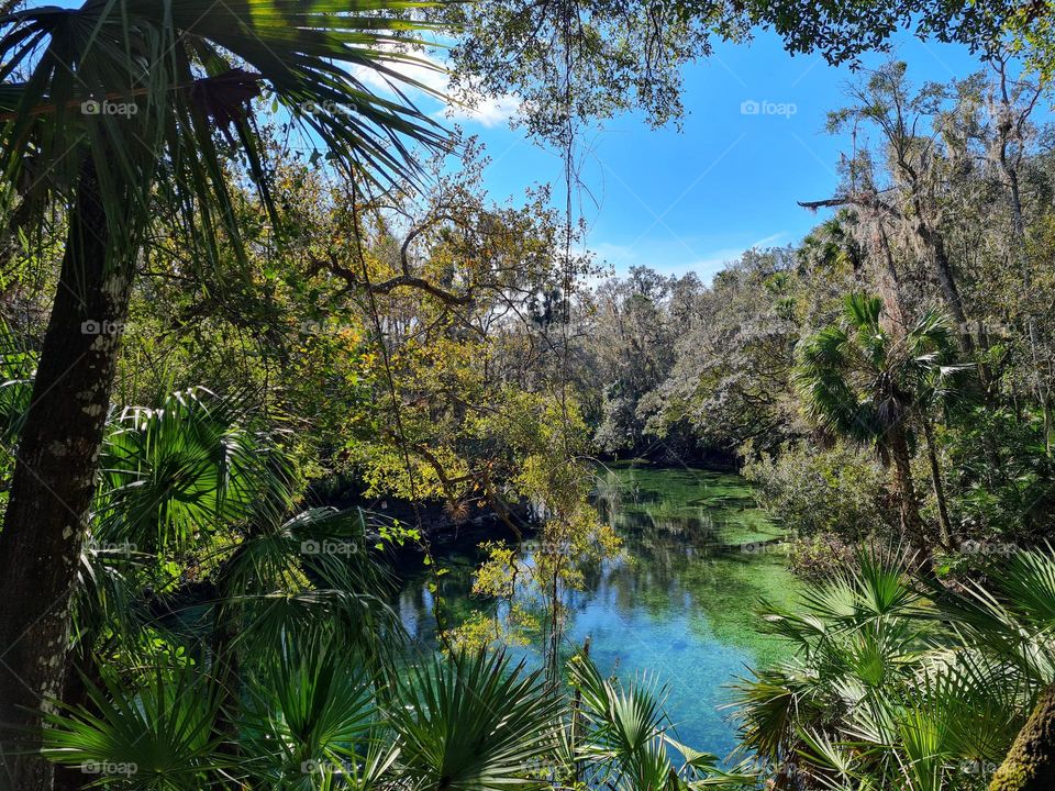 Blue Springs State Park