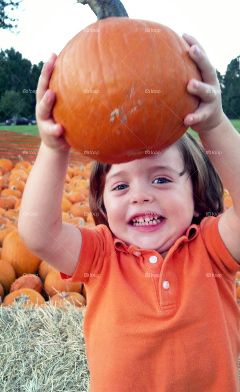 Little Boy Holding Orange Pumpkin In Fall / Autumn Pumpkins / Pumpkin Patch