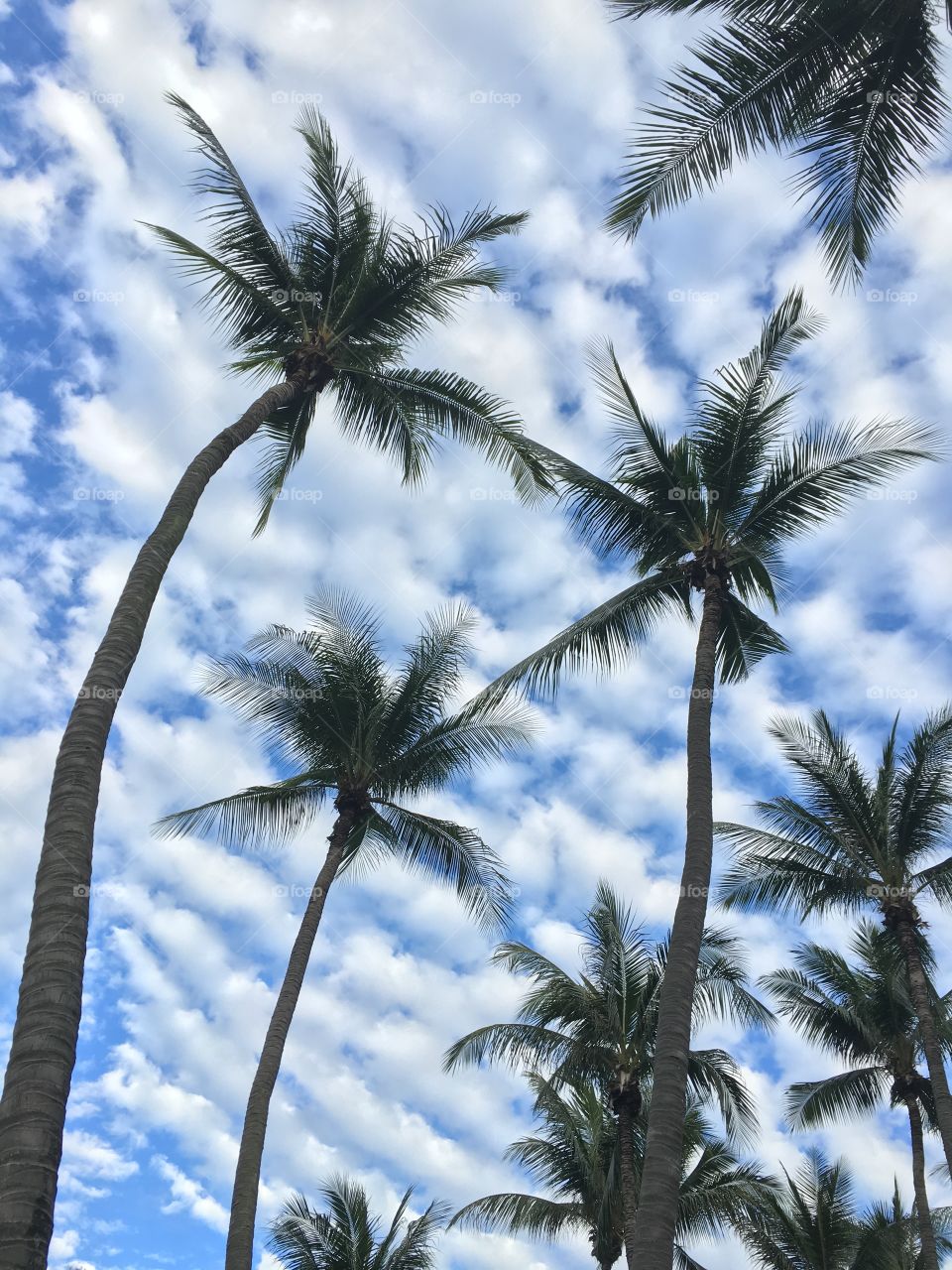 Dancing  with clouds