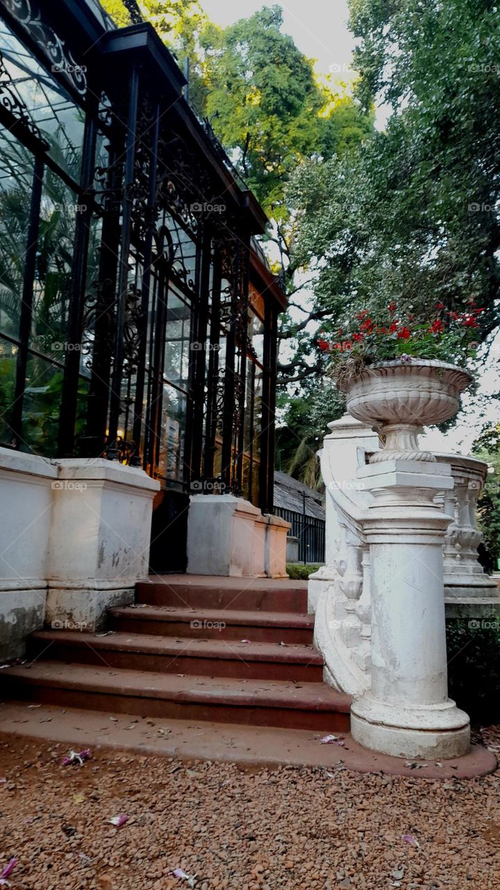 Lugares verdes que te desconectan de la ruidosa urbe.