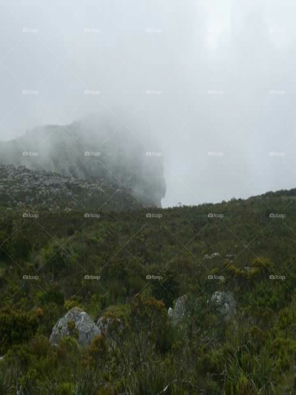 Misty Table Mountain