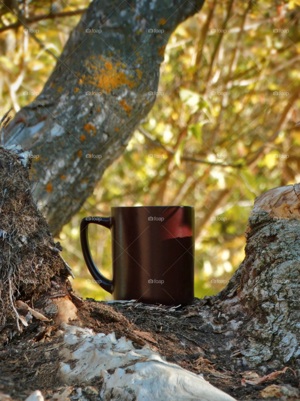 Autumn coffee time in the nature