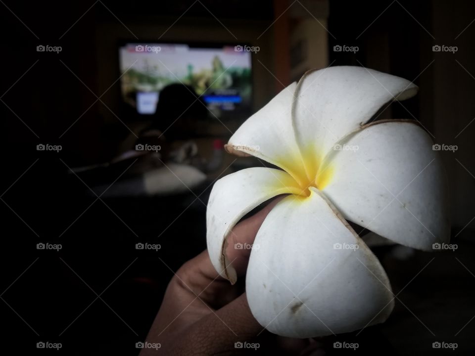 Flowers are human poetry. Humans find flowers beautiful because they are very unique such as other plants. But flowers to some represent love or passion, ecstasy or remembrance of a loved one lost. Flowers are meant to be looked at as something that