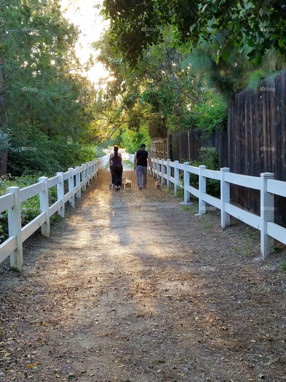 Walking on the trail