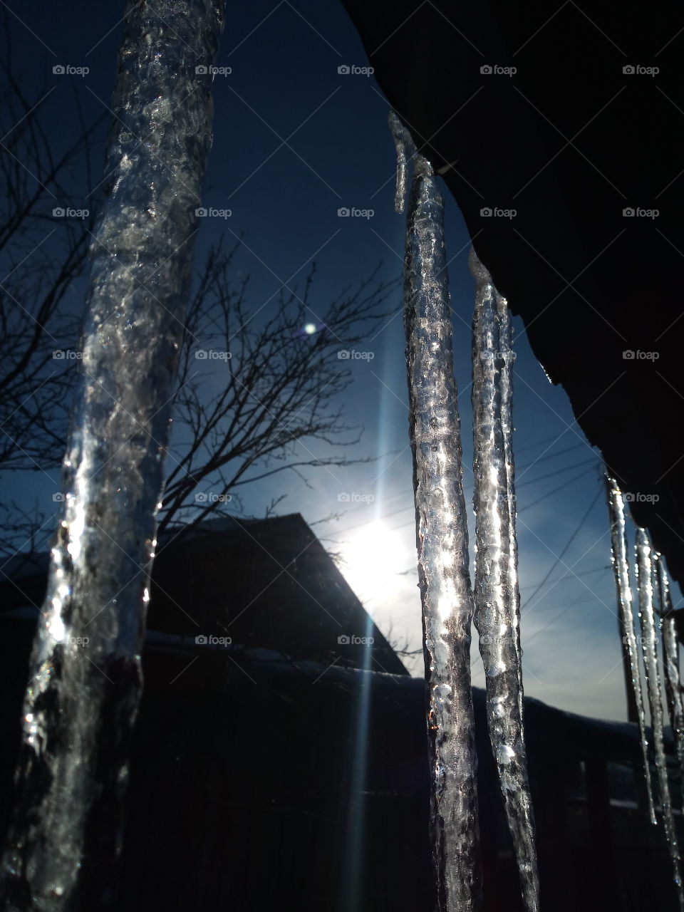 icicles and sun