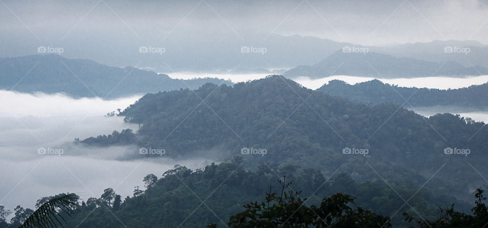 Sea of mist on the mountain.