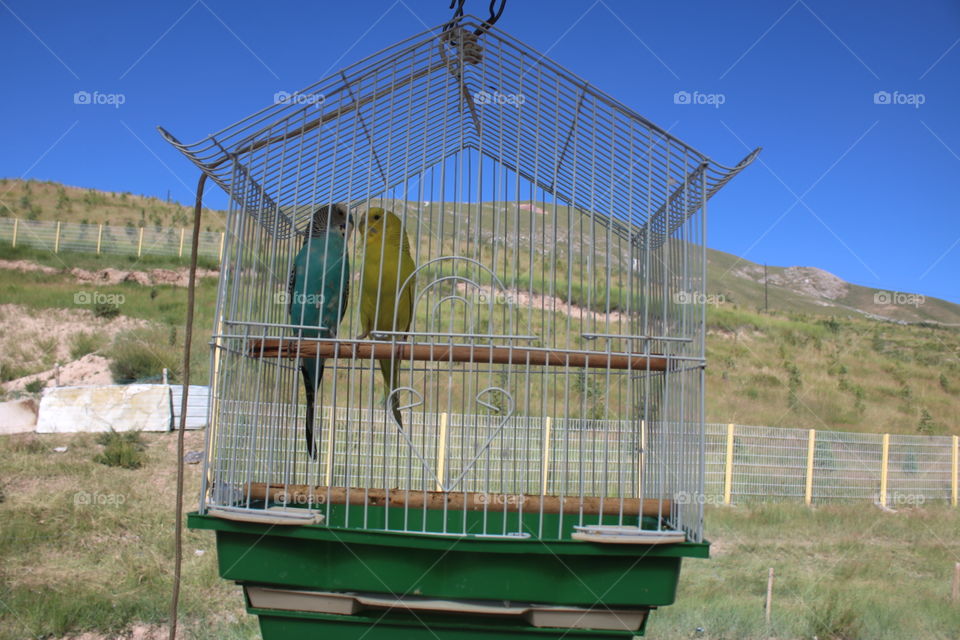 happy staying with lover in the jail.