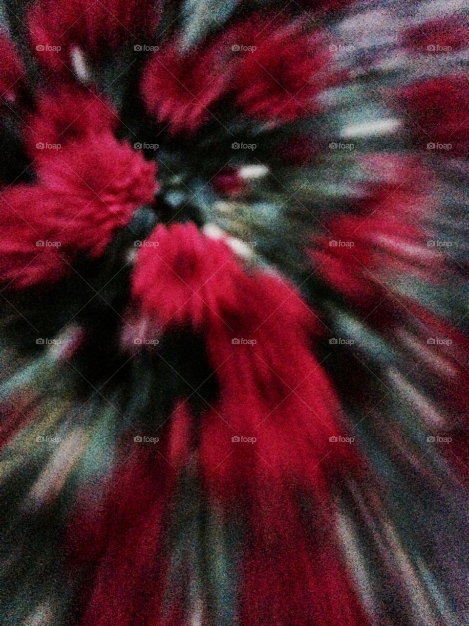Abstract. Flying flowers 