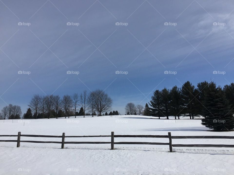 Snowy countryside in Michigan