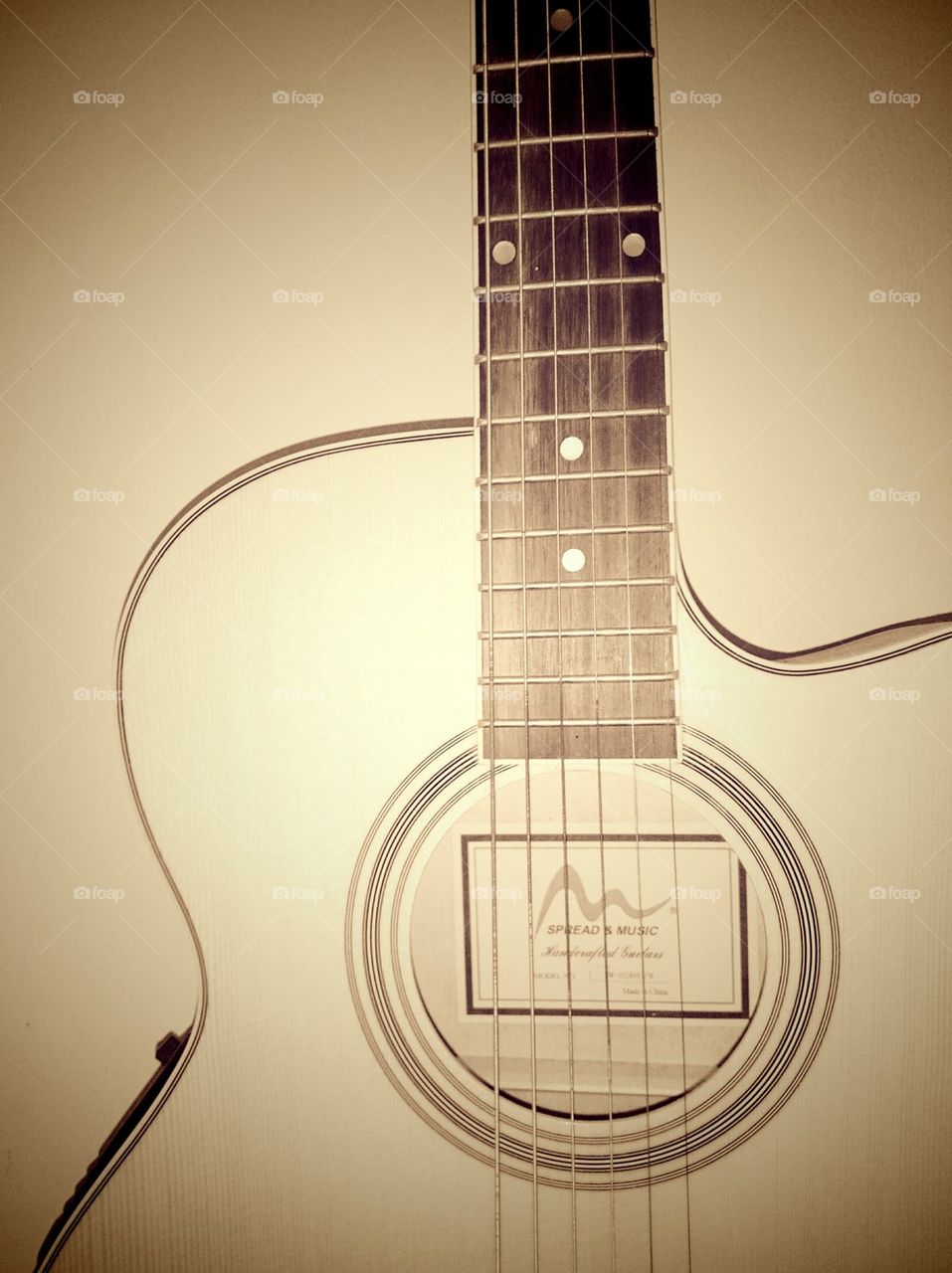 Guitar 