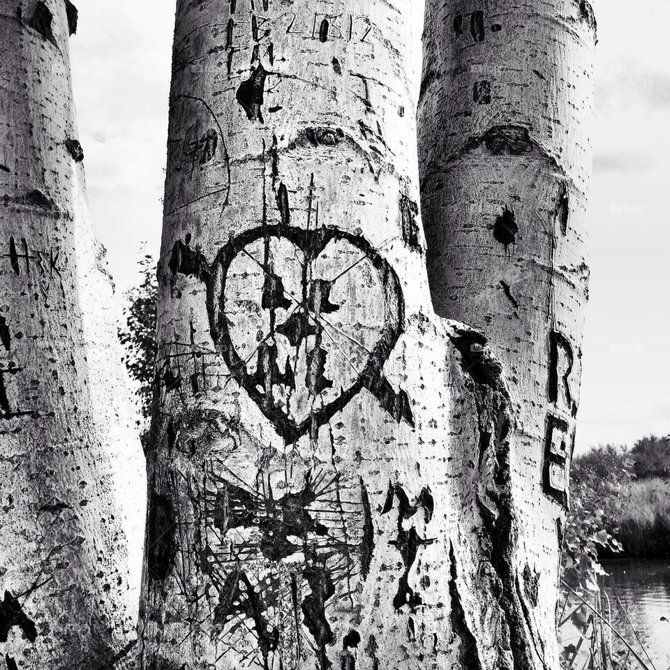 Love Tree