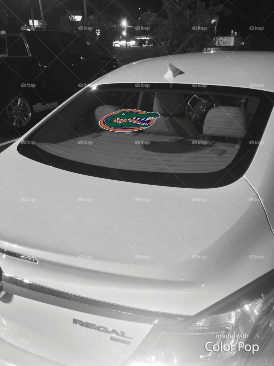 FL Gators Car Decal