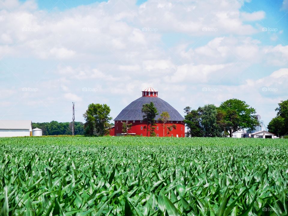 Beautiful countryside 