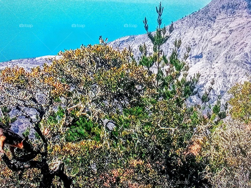 Landscape photography