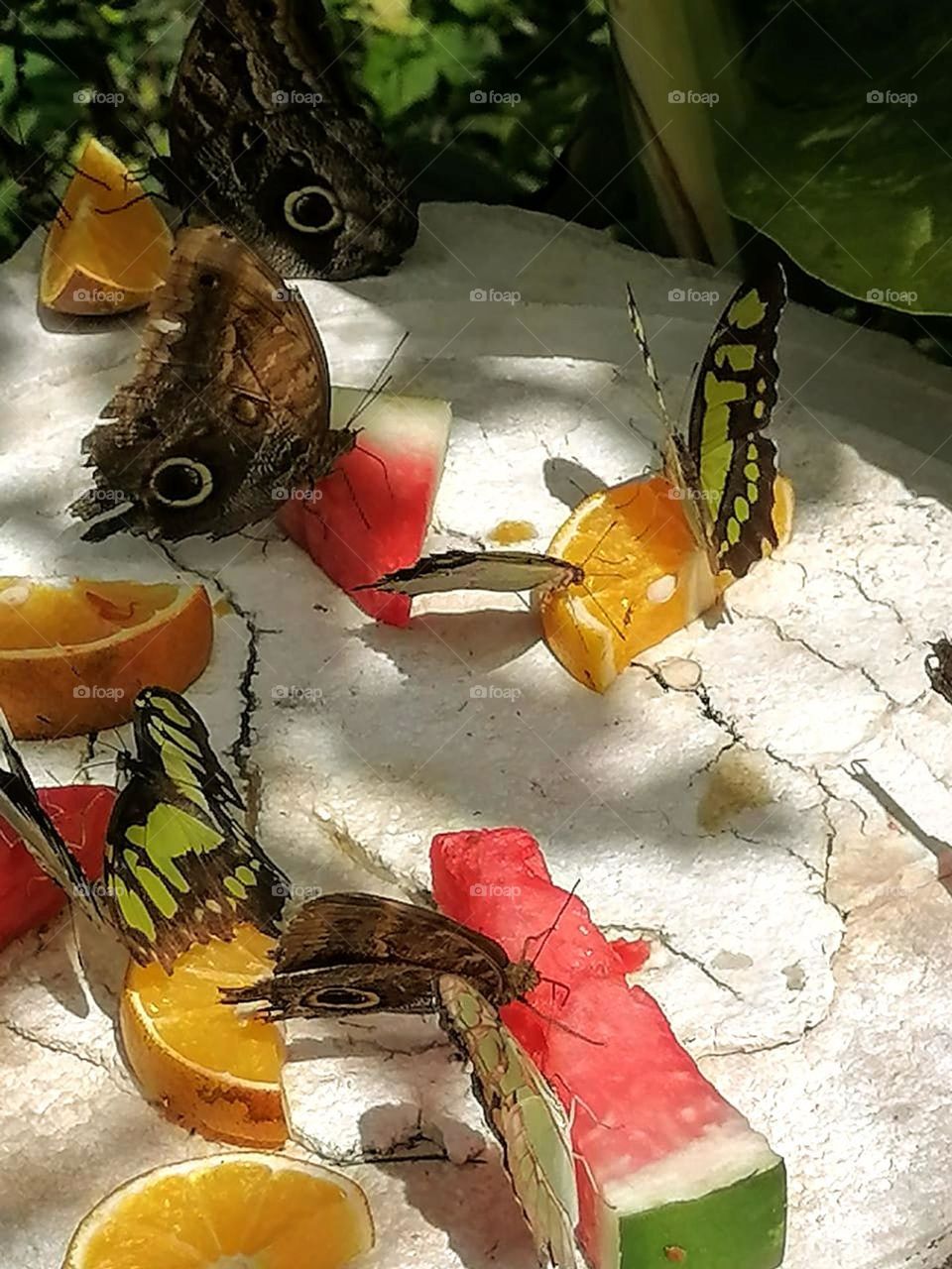 Lesson 1: Join First Mission