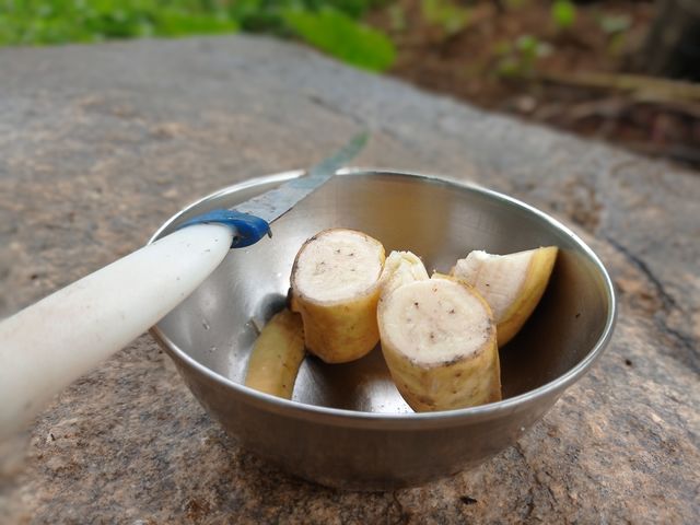 fruit