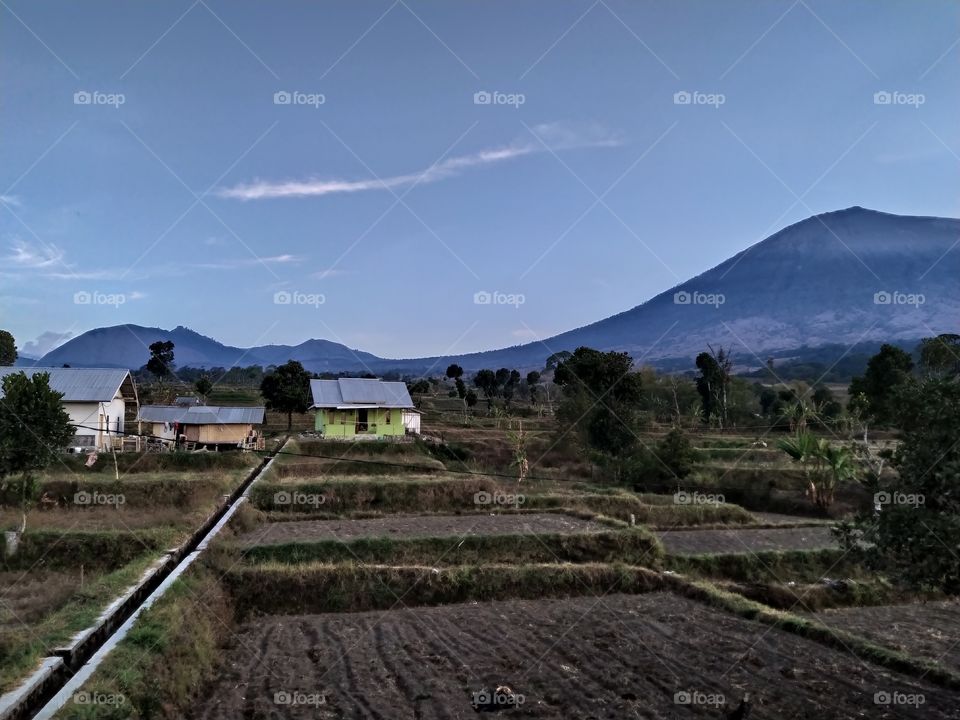 landscape of Sembalun Lombok