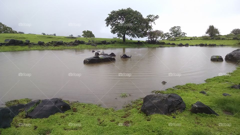 Lake on top of mountain