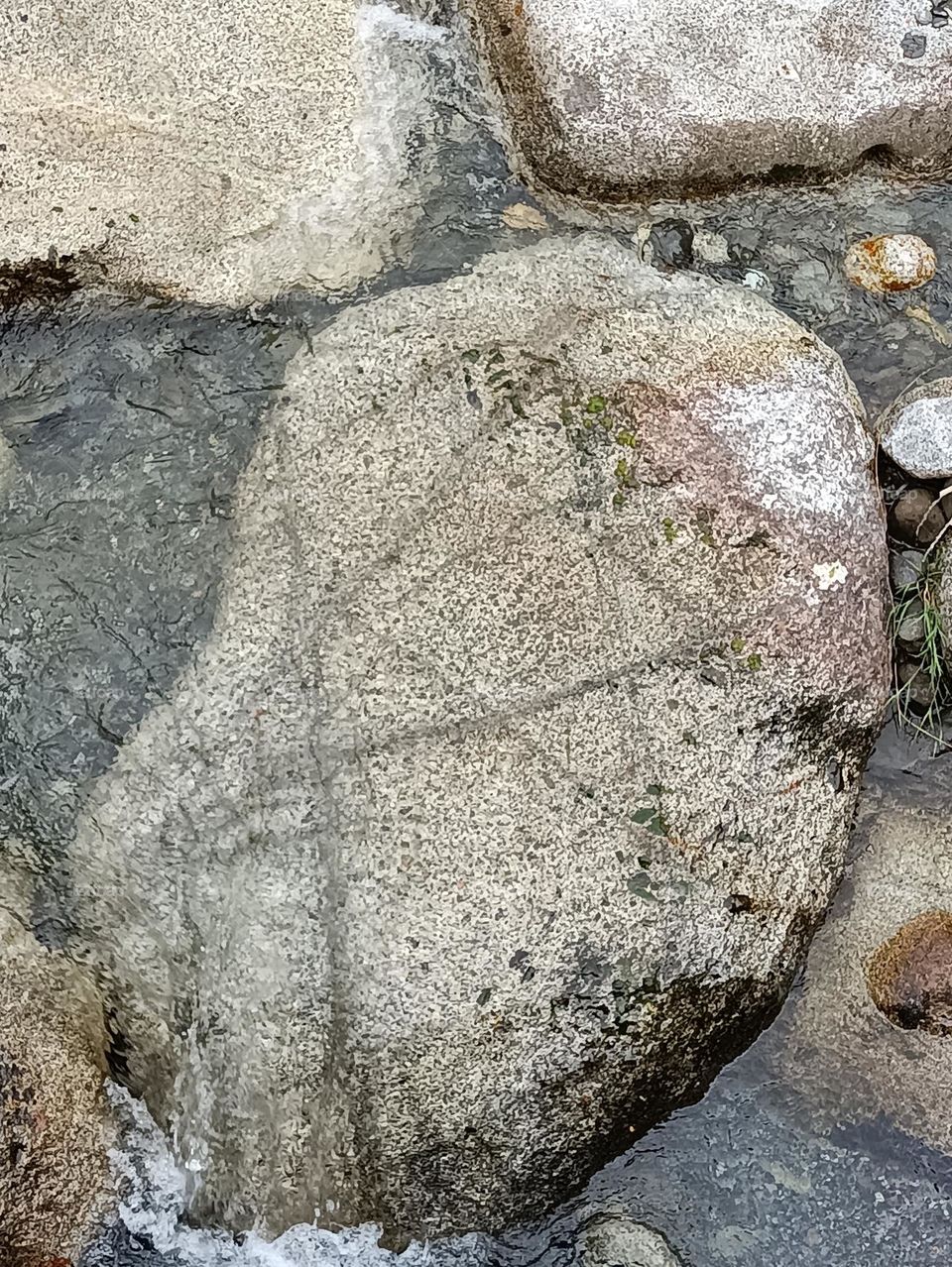 Magia, ilusión e imaginación...