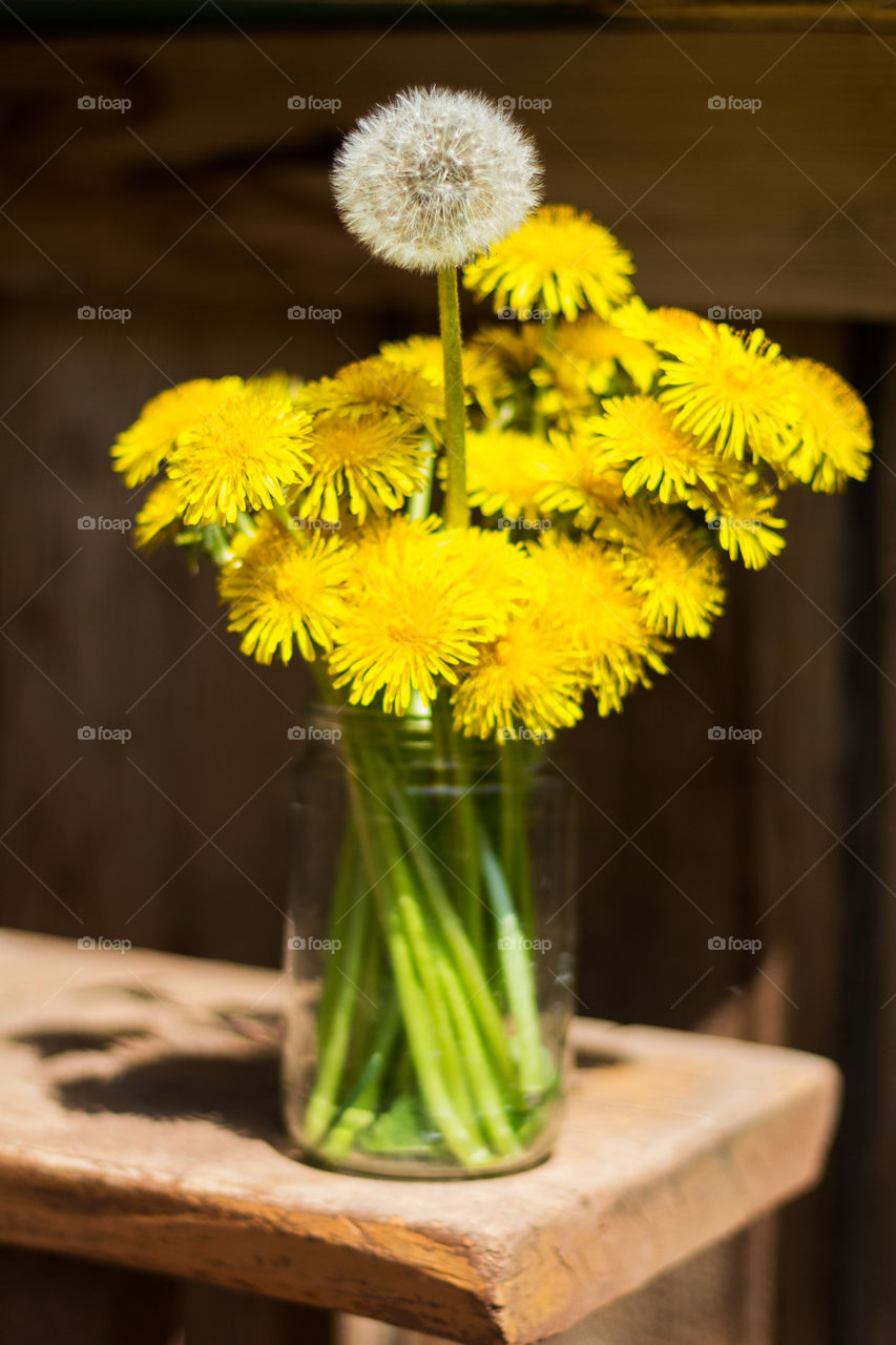 Bouquet of yellow dandelions