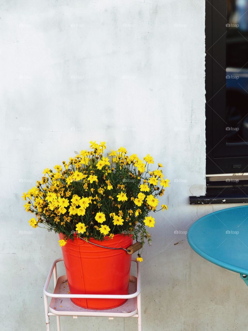 Bouquet of small yellow flowers in a red vase on beige background, no people 