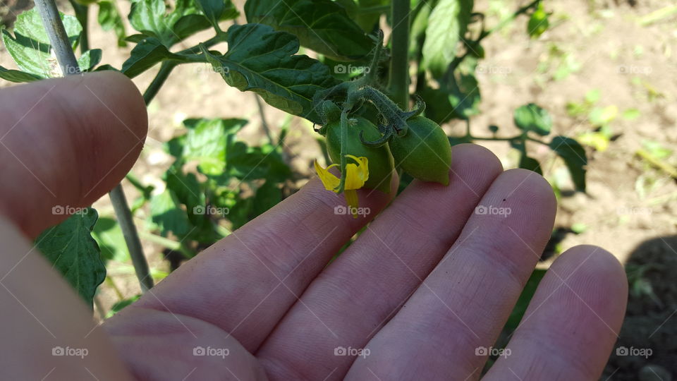 waiting for them to turn