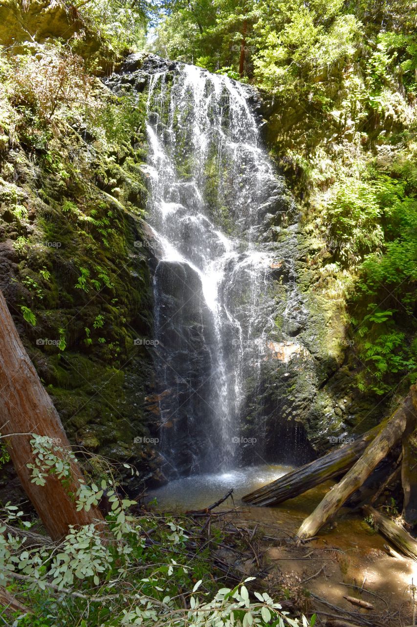 Waterfall at Big Basin Redwoods State Park in Boulder Creek, CA