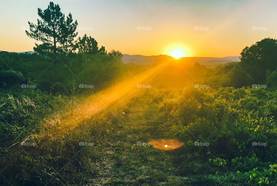 A trail through the brush leads to the sun rising above the mountains in the distance