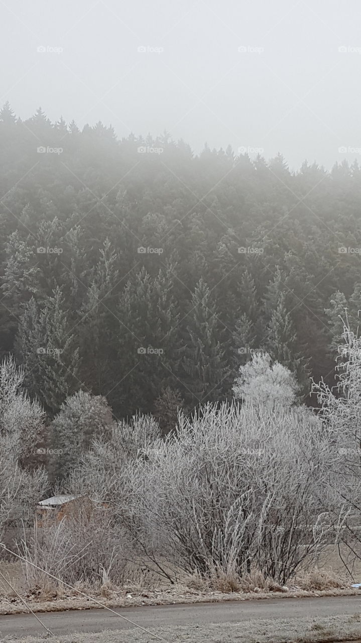 Winter ist langsam mal auch bei uns angekommen  siehe der Frost an den Bäumen