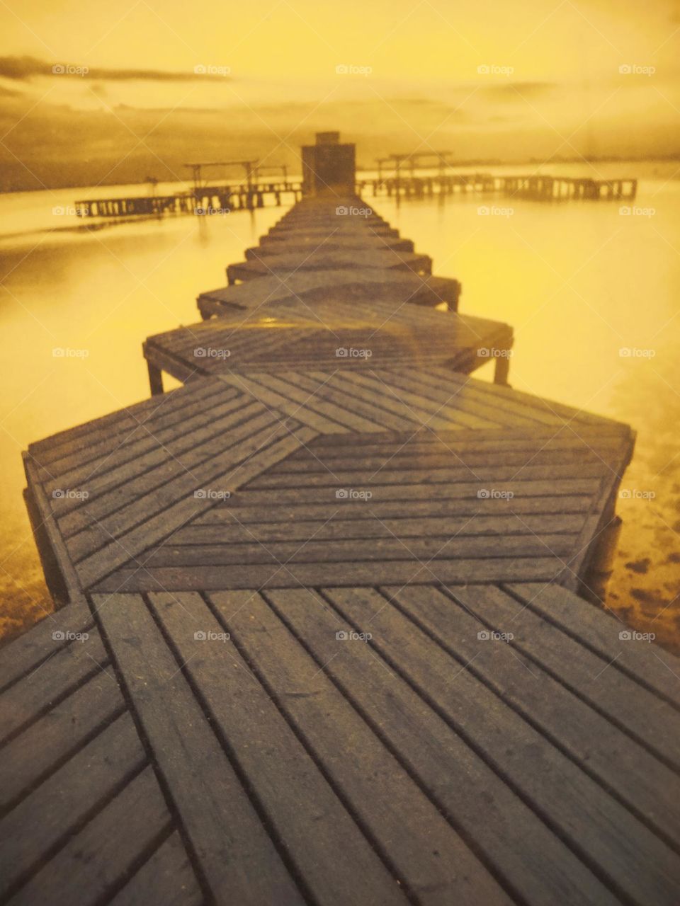 le chemin du bonheur