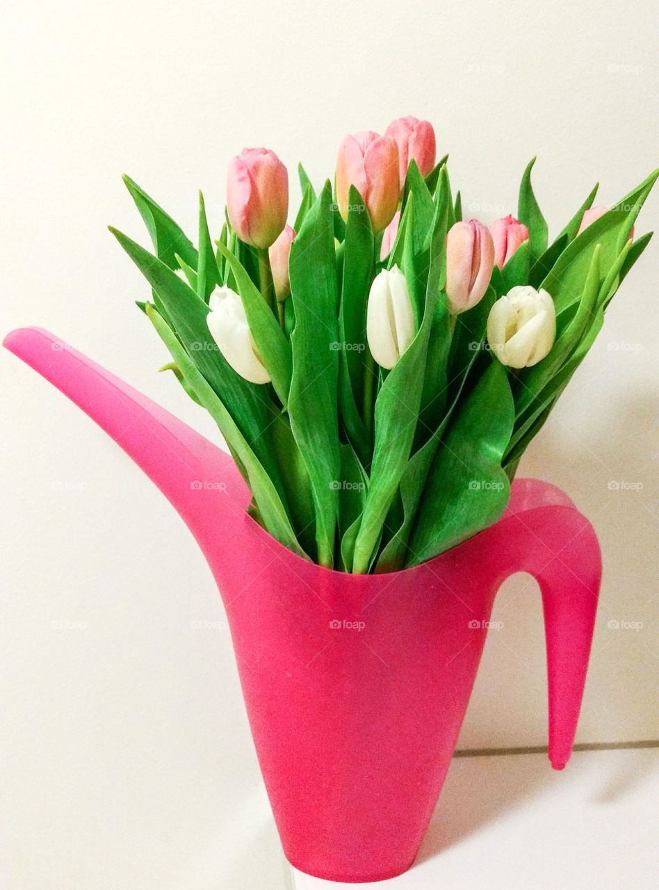 Vase of tulip flowers against white wall