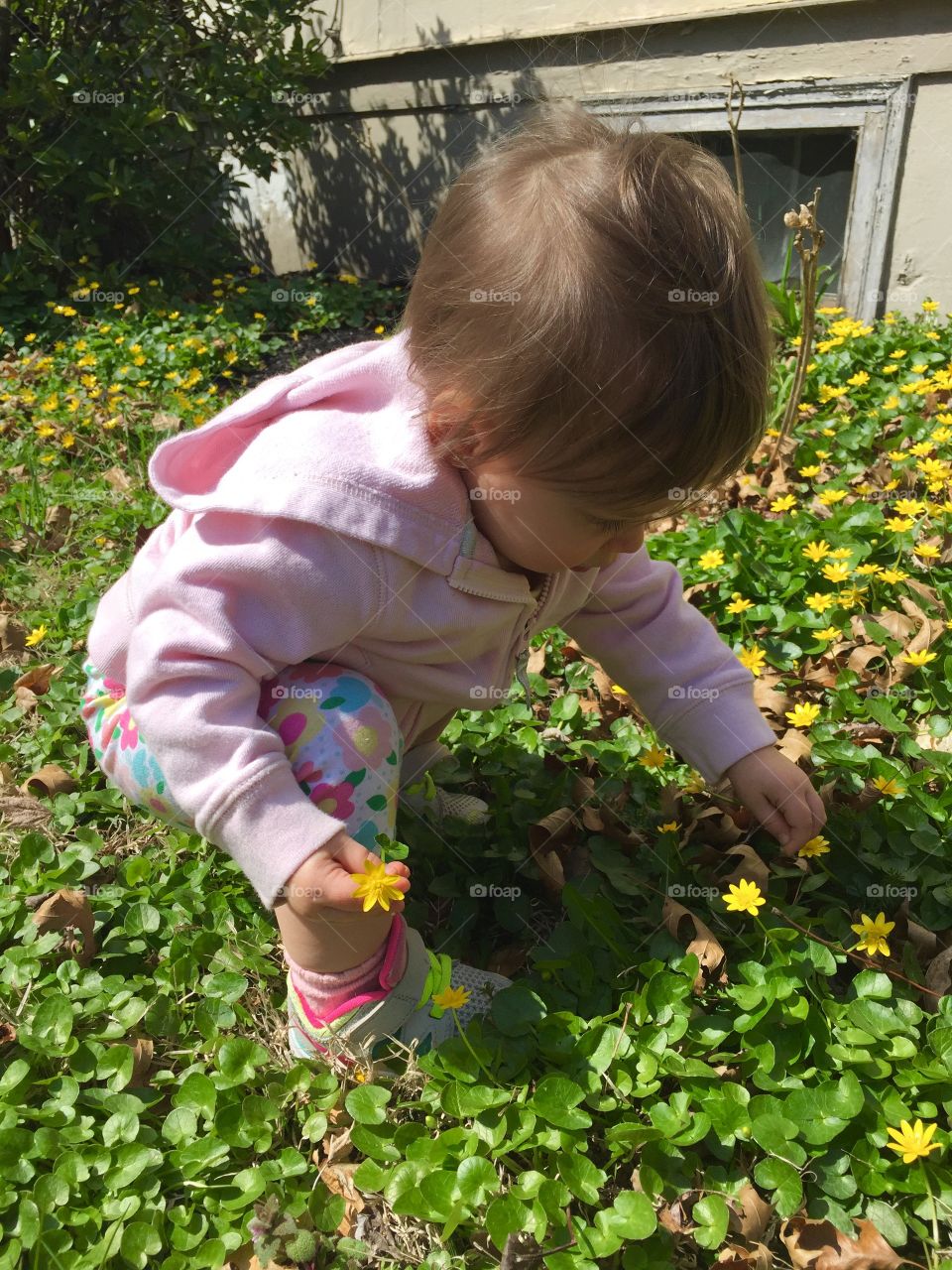 Portrait of girl picking yellow flower