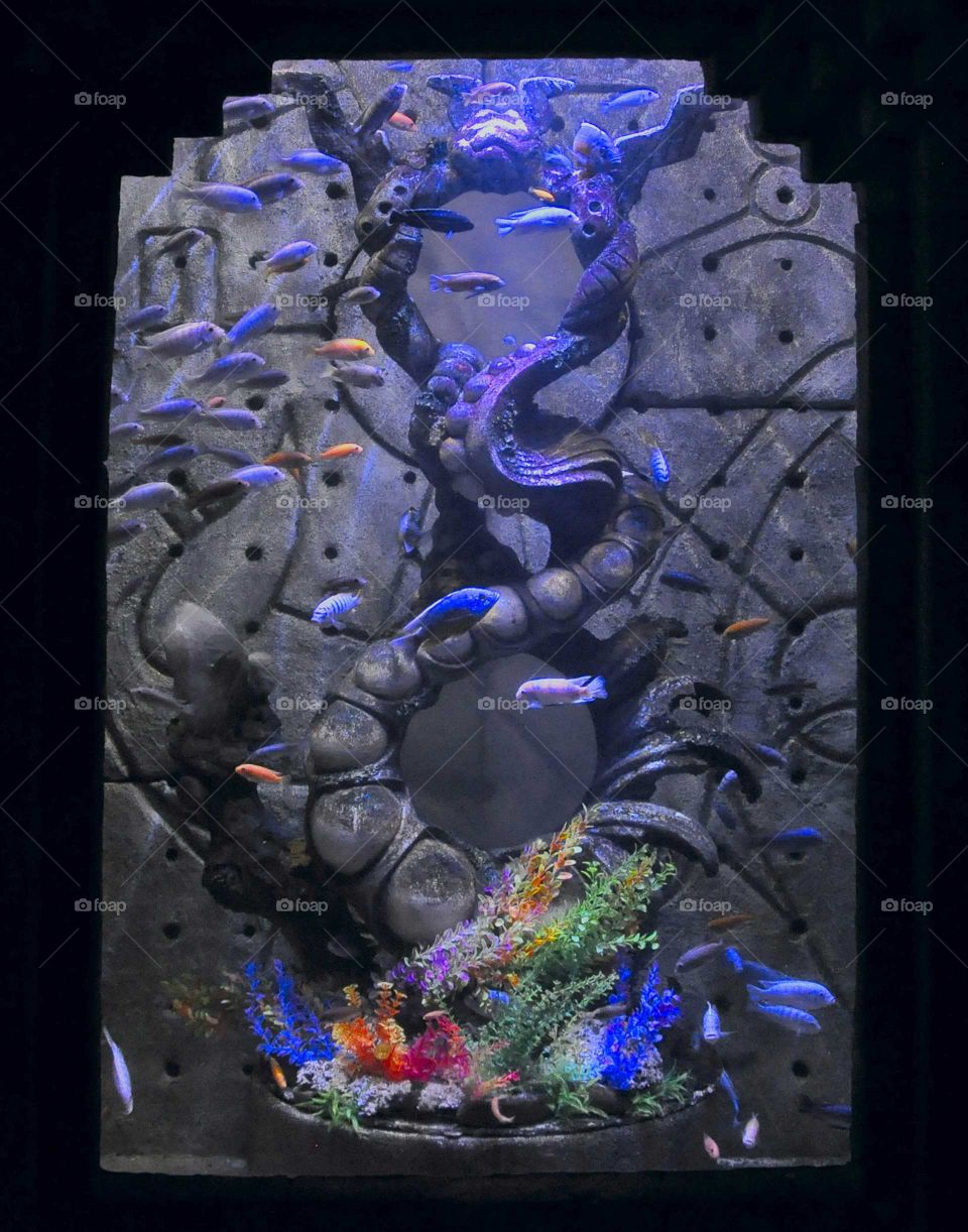 Atlantis Aquarium by zazzle.com/fleetphoto